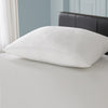 Registry Superside Guesseted Pillows