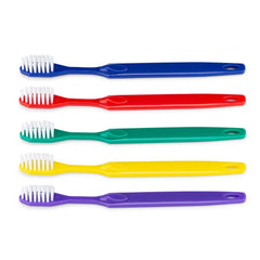 Plastic Toothbrushes in Assorted Colors, Pack of 72