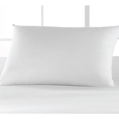 Registry Silver Hypo-Allergenic Pillows